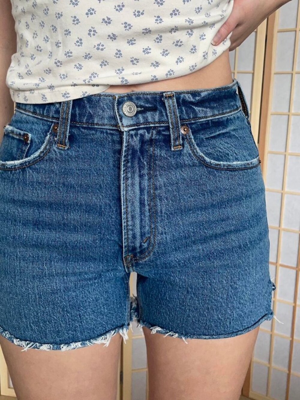 Women's Blue and Navy Shorts